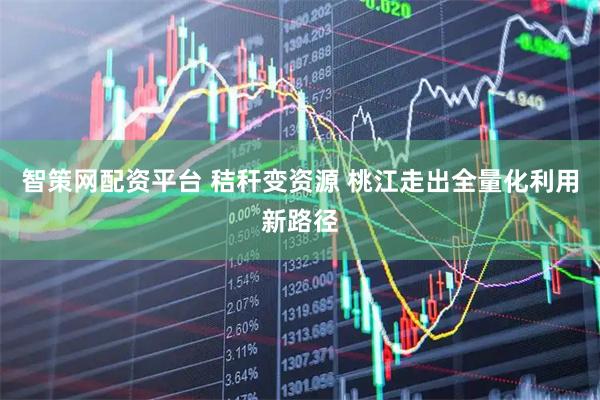 智策网配资平台 秸秆变资源 桃江走出全量化利用新路径