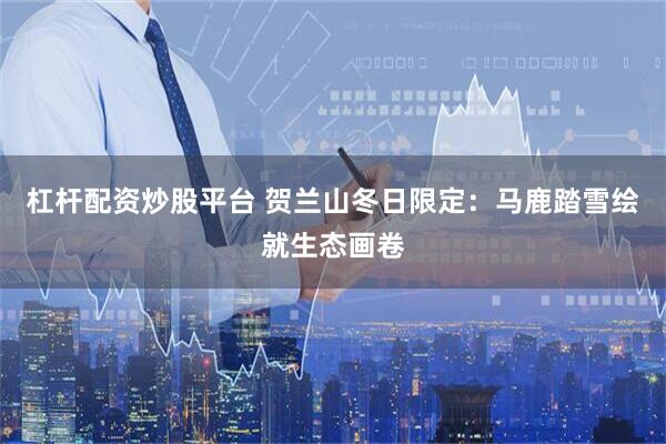 杠杆配资炒股平台 贺兰山冬日限定：马鹿踏雪绘就生态画卷
