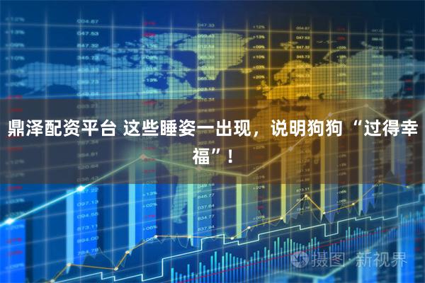 鼎泽配资平台 这些睡姿一出现，说明狗狗 “过得幸福”！