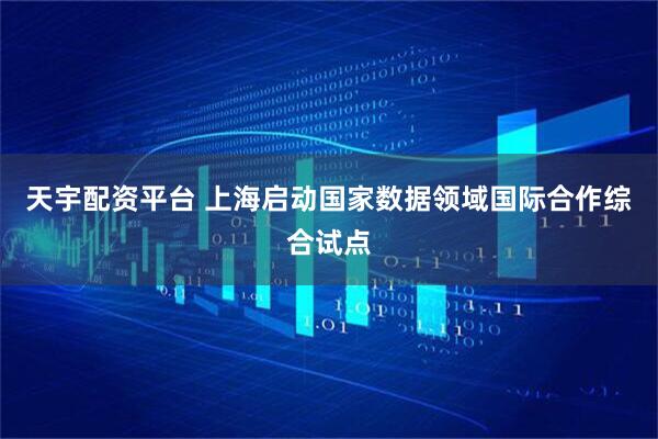 天宇配资平台 上海启动国家数据领域国际合作综合试点